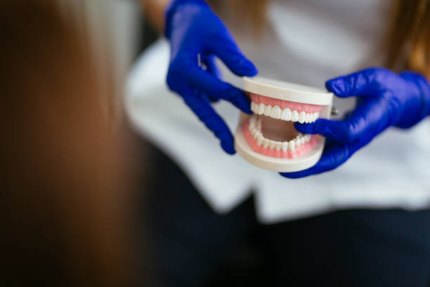 Professional Holistic Dental Care Services in Heidelberg, PA