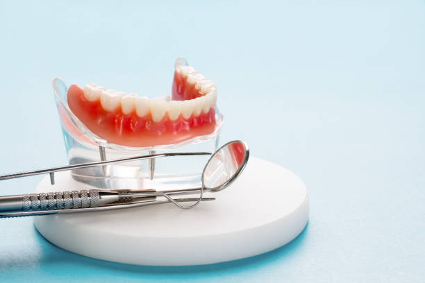 Best Preventive Dentistry  in Heidelberg, PA